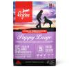 Orijien dog -puppy large 6kg